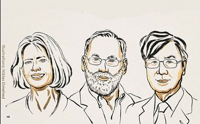 破解免疫系统的攻防密码 ——2025年诺贝尔生理学或医学奖解读