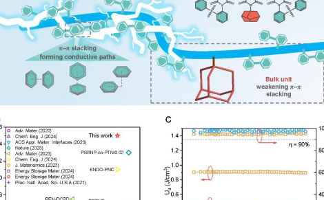 西安交大娄晓杰教授课题组在聚合物储能材料研究领域取得重要突破