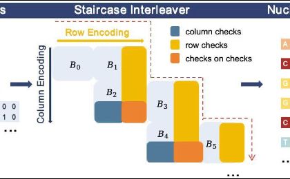 新型编解码方案让DNA存储从容恢复高错误率数据