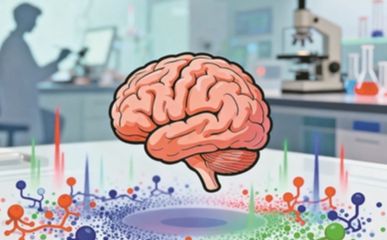 “迷你大脑”破壁而出 为疾病机制研究和药物开发提供工具