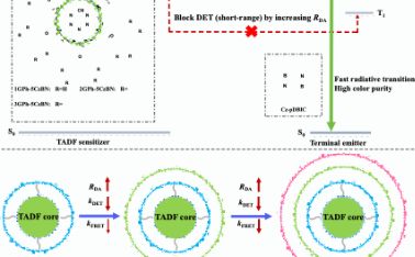 东南大学孙岳明团队在《Advanced Materials》上发表最新研究成果