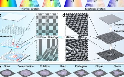中国科大电热晶格超材料实现可重编程电热双场协同调控