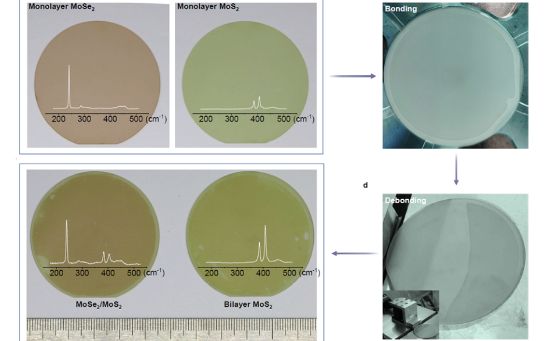 二维半导体晶圆的直接键合