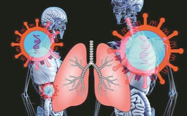 新方法可批量生产微型肺类器官