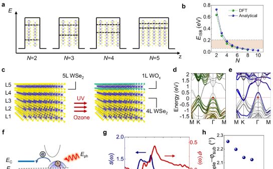 东南大学骆越教授在《自然通讯》上发表最新研究成果